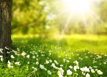 Příjemné prožití Velikonoc