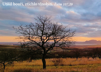 Je nám ctí být součástí tak obrovské solidarity. Děkujeme