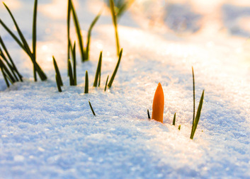 Požehnané Velikonoce přeje Diecézní charita Brno